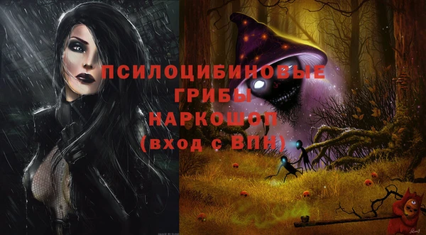 МДПВ Алзамай