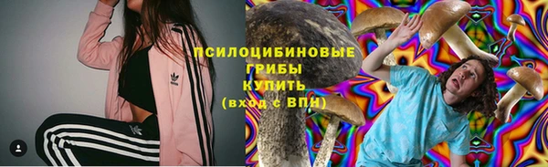 круглые Алексеевка