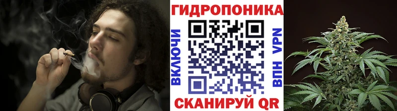 купить наркотики сайты  kraken маркетплейс  Шишки марихуана план  Микунь 
